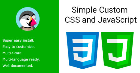 CSS e JavaScript personalizados simples