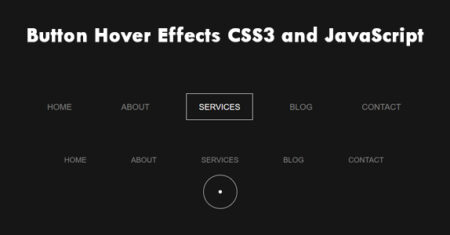 Efeitos de foco do botão CSS3 e JavaScript