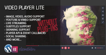 Widget Elementor do player de vídeo Lite